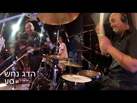 Hadag Nahash - Sa Live in New York 05/02/18 הדג נחש - סע