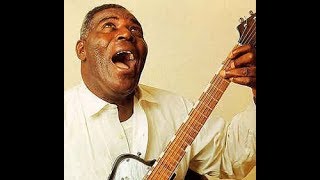 The howlin&#39; wolf / Howlin&#39; for my darlin&#39;