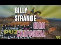 Billy Strange - High Chaparral ( Vinyl 1969)