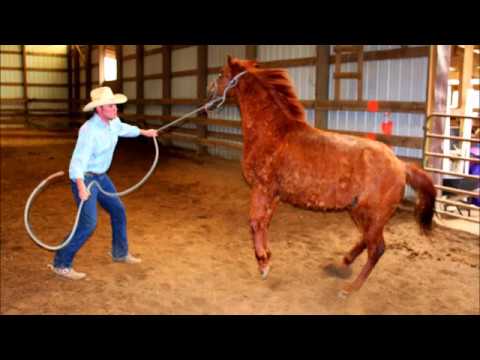 Starting Colts & Fun at Smoke Rise Ranch!