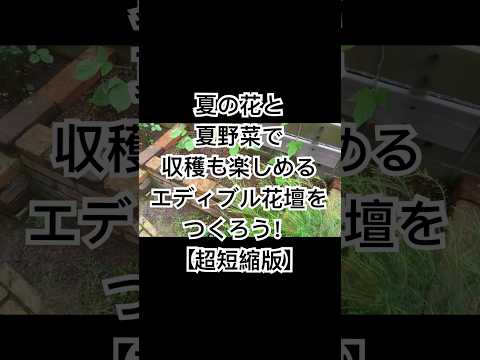 木の周りにベッドを作る方法 植物には光が必要です 境界線のアイデアを生き残る