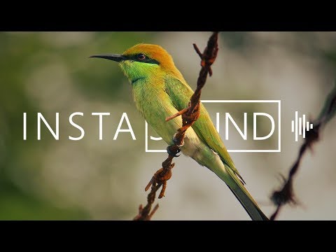 NIKÖ BLANK - Do U (feat. Jacob Luttrell)