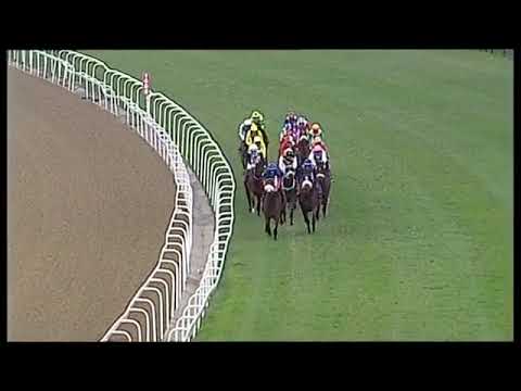 2019.07.06 Durban July (RSA) - Do It Again