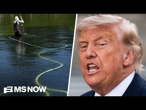 'Can't win the war against algae' or book Milli Vanilli: Acosta on Trump's 'credibility crisis'