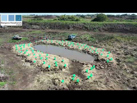 Charlotte's Wood Planting