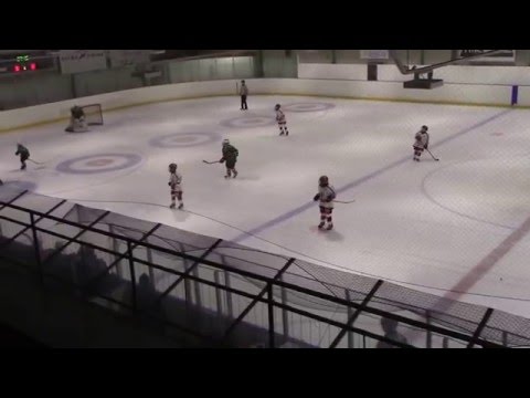 Leki75 05 Lions   Sapko AAA  210216