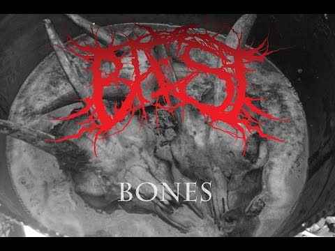 BAEST - Bones