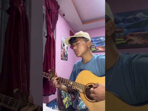 Bitawney Chu - The Dreamcatchers (cover) ##coversongs #acousticcover #guitarlesson