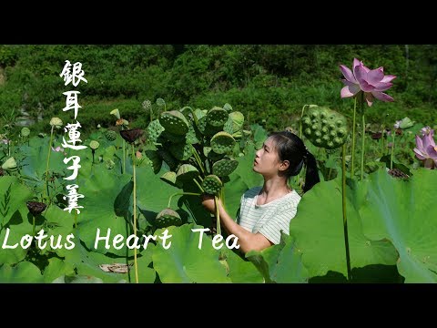 download lagu mp3 mp4 Lotus Seed In Chinese, download lagu Lotus Seed In Chinese gratis, unduh video klip Lotus Seed In Chinese