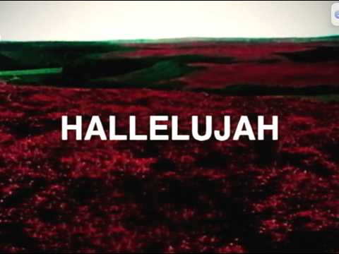 Hallelujah
