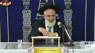 באיזה סגנון של תפילה התפלל משה רבינו לקב"ה ¤ הרב יאיר יחזקאל ¤ ט"ז אב תשפ"ה (10.8.2024) (מוסדות תורת דוד) - התמונה מוצגת ישירות מתוך אתר האינטרנט יוטיוב. זכויות היוצרים בתמונה שייכות ליוצרה. קישור קרדיט למקור התוכן נמצא בתוך דף הסרטון