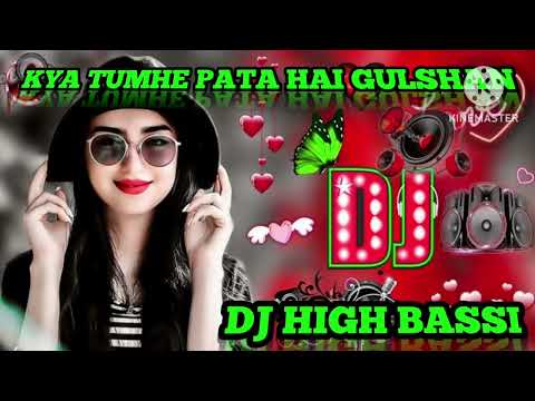 Kya Tumhe Pata Hai Gulshan_Song Hindi (DJ High Bassi