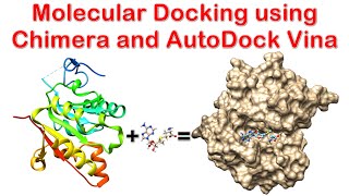 Molecular Docking using Chimera and AutoDock Vina