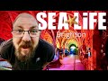 Visiting | SEA LIFE Brighton - The World’s OLDEST Aquarium
