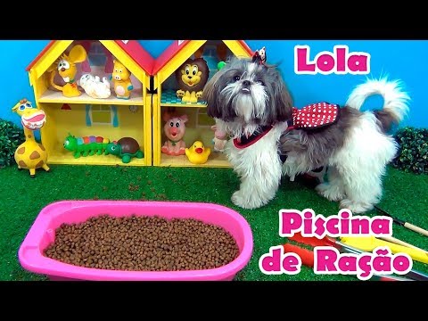 Lola na piscina de ração! O sonho de todo cachorro e gato! #cachorrinho #brincadeiras #pets