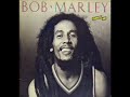 Bob Marley "Gonna Get You" HD