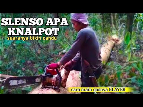 STIHL O70 CHAINSAW SUARANYA BIKIN CANDU