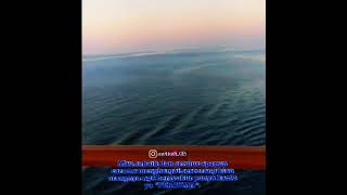 Download lagu story wa keren pelayaran mp3