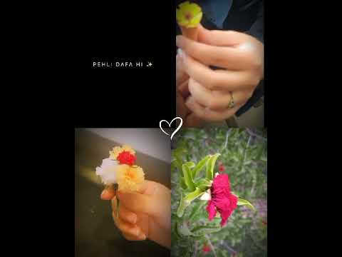 #flower#cute#minibouquet