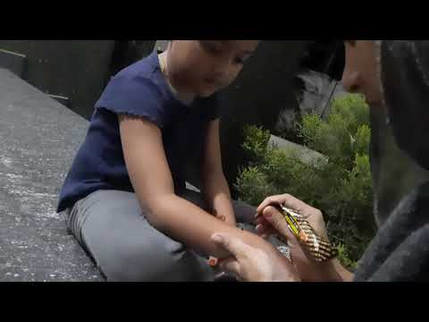 A mehandi night😍😍😍|# NABA CREATION