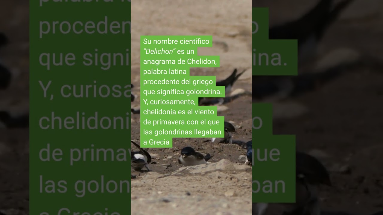 ¿Qué es? ¡Es un avión!