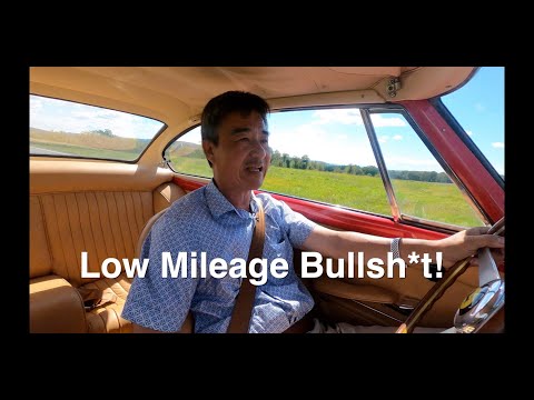 Low Mileage Bull Shit