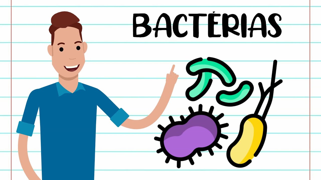 Resumo - BACTÉRIAS