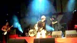 maximo park-now im all over the shop