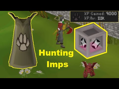 The best spots to hunt imps "Imp Boxes" (OSRS) - 2021
