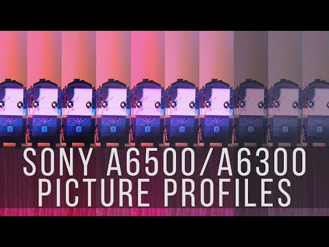 Sony a6500 Picture Profile Showdown (a6300 a6500 a7SII a7RII)