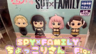 SPY×FAMILY ちょっこりさんFig.  ガチャ
