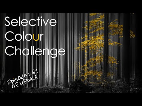 Selective Colour Photo Challenge - Episode 267 of UPwKA | Photography Podcast