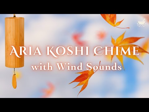 Aria Koshi Chime with Wind Sounds 🌬️ | Connect to the Air Element | Stress Relief Sounds