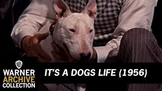 It’s A Dogs Life (1956) – Wildfire&#39;s Last Fight
