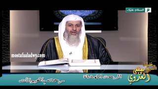 رحمته صلى الله عليه وسلم بالحيوانات