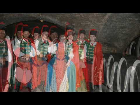 Trenkovi panduri -Požega, fotke iz 2008. godine