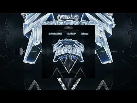 DJ Gollum x DJ Cap x bArna - Soundgarden