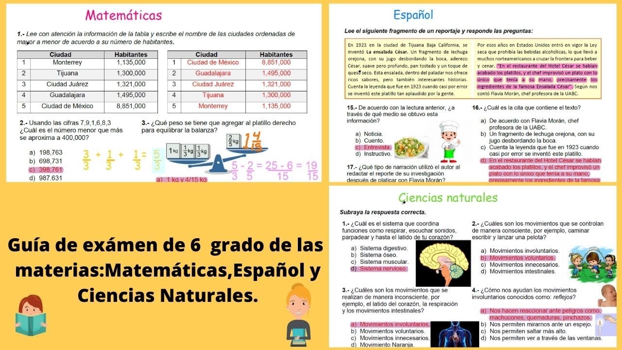 Guía sexto grado matemáticas,español y naturales