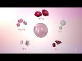 Clip 3