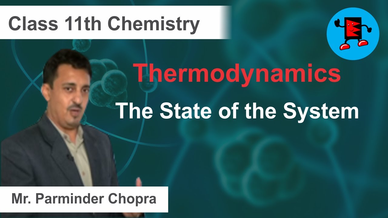 CBSE Class 11 Chemistry Thermodynamics The State of the System |Extraminds