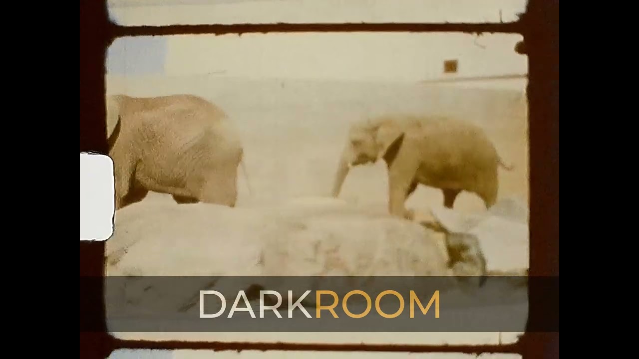 Tallinn, Raekoja plats