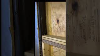 Horse Opens a Window after Owner Closes It