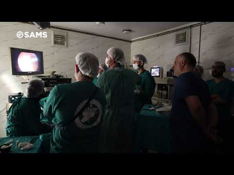 img-video