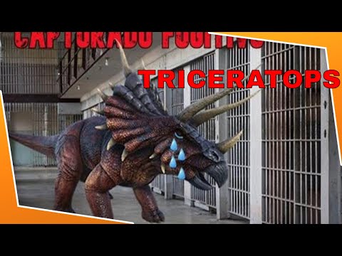 La Mejor Forma De Tamear Triceratops  ARK Survival