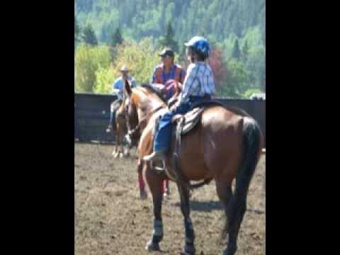 Horsemanship training, boarding and petting zoo in Maple Ridge