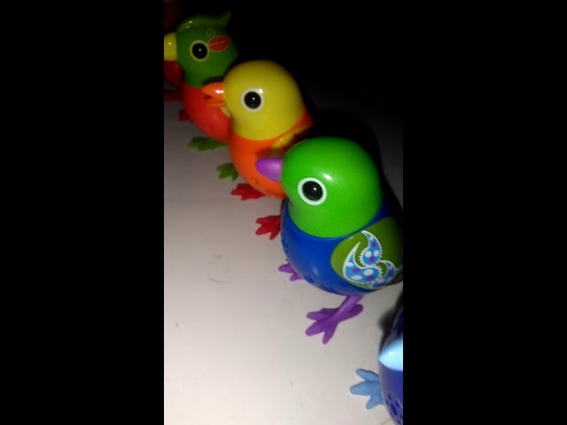 Vídeo relacionado con KTUXZCI Juguetes eléctricos interactivos, estatuilla de pájaro Cantor, Mini pájaro eléctrico con Control de Voz para niños, decoración Divertida de