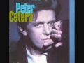 Peter Cetera - They Don't Make 'Em Like They Used To