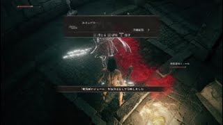 やっとエルデンリング始まった ＃3
