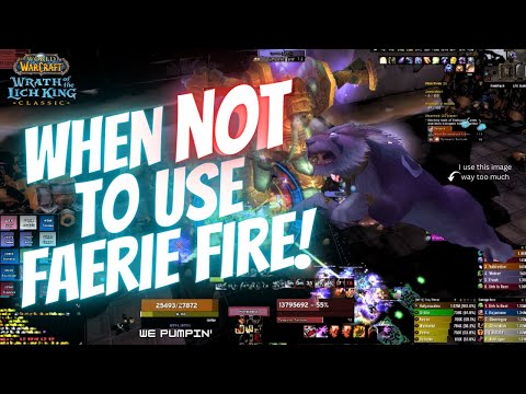 4 Times You Don't Want to Press Faerie Fire | Wrath Classic | Feral