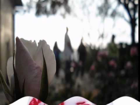 La Fotografía- Bachata